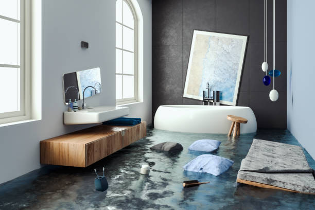  North Branch, MN Water damage restoration Pros