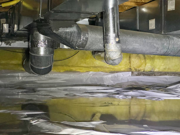 Best Flood restoration services  in North Branch, MN