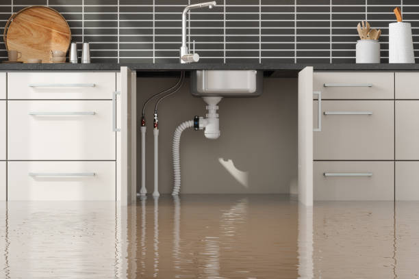 Best Water damage contractors near me  in North Branch, MN