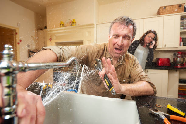 Best Ceiling water damage repair  in North Branch, MN